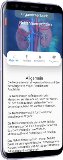 allgemein