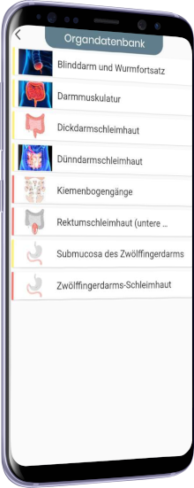 unterkat