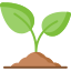 plant-icon
